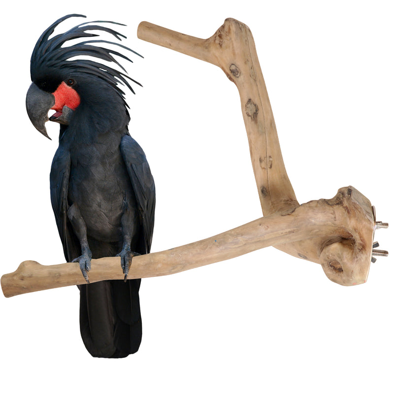 Parrot Perches Bird Cage perch java wood parrot stand for parrots Dubai bird accessories