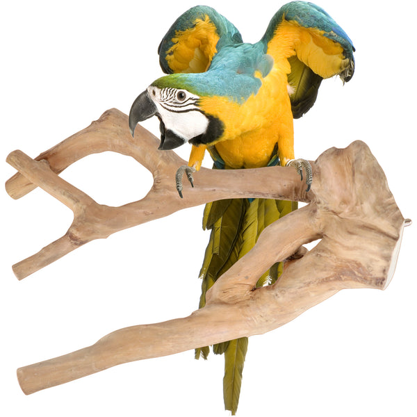 Parrot Perches Bird Cage perch java wood parrot stand for parrots Dubai bird accessories