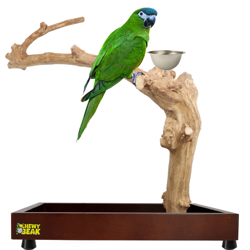 Parrot playpen bird play stand parrot wooden bird stand java wood parrot stand Dubai