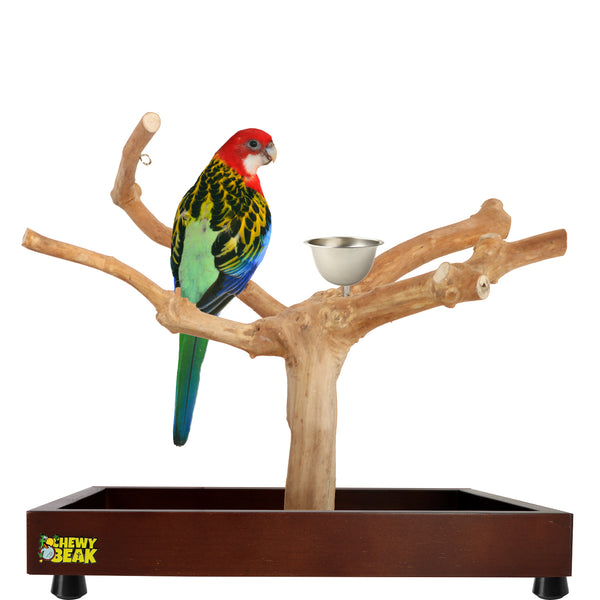 Parrot playpen bird play stand parrot wooden bird stand java wood parrot stand  Dubai