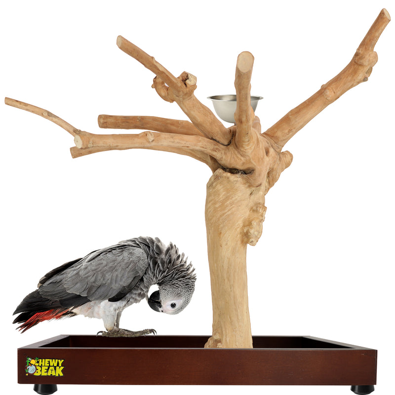 Parrot playpen bird play stand parrot wooden bird stand java wood parrot stand Dubai