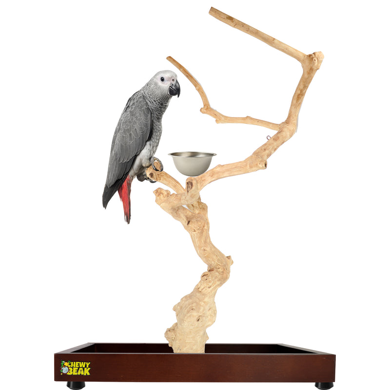 Parrot playpen bird play stand parrot wooden bird stand java wood parrot stand Dubai