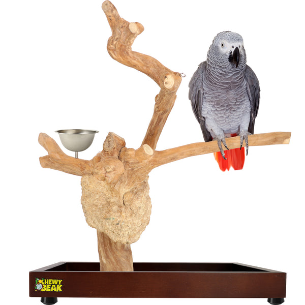 Parrot playpen bird play stand parrot wooden bird stand java wood parrot stand Dubai