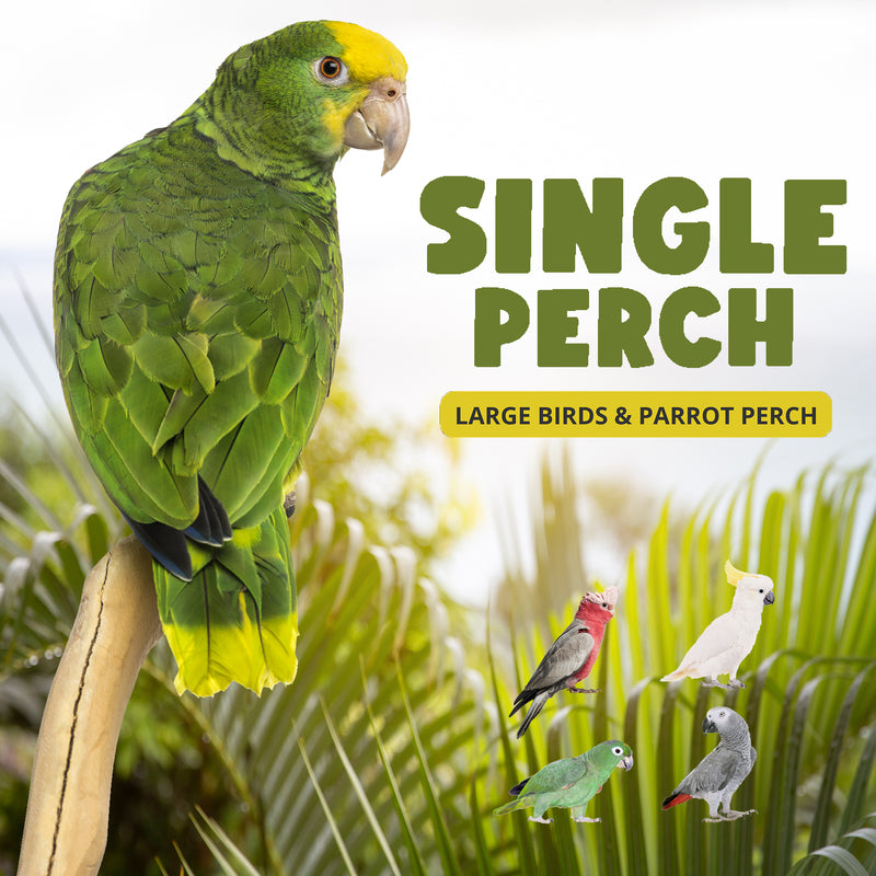 Parrot Perches Bird Cage perch java wood parrot stand for parrots Dubai bird accessories