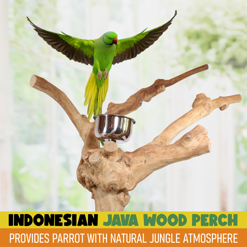 Parrot playpen bird play stand parrot wooden bird stand java wood parrot stand Dubai