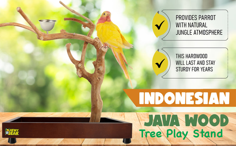 Parrot playpen bird play stand parrot wooden bird stand java wood parrot stand Dubai