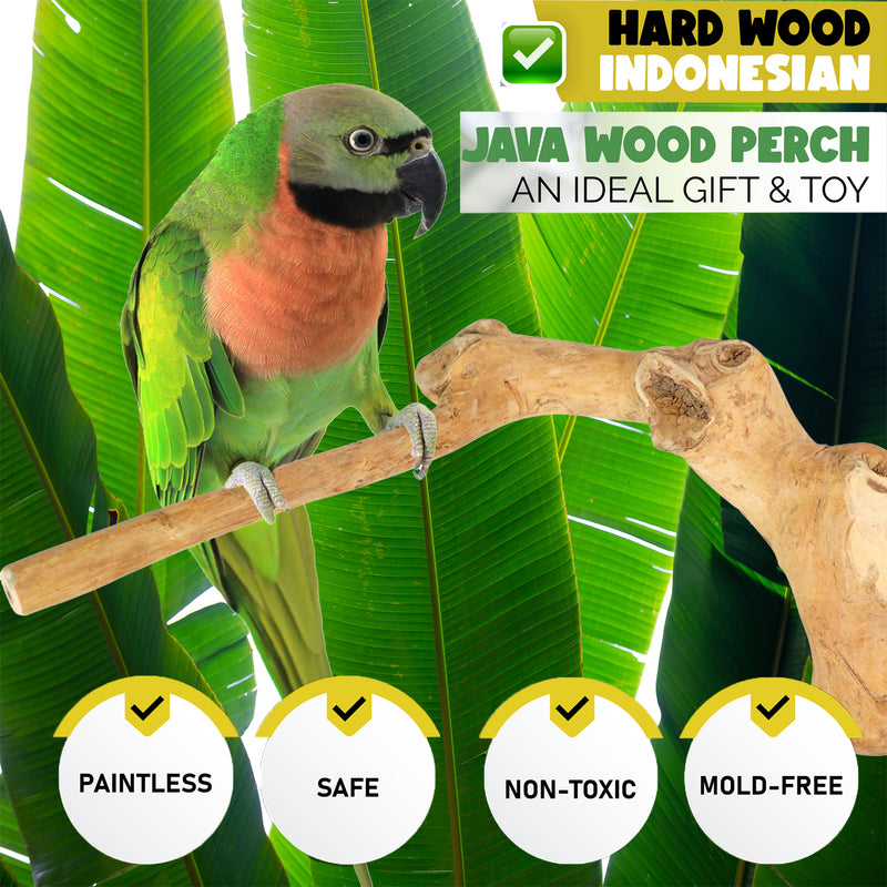 Parrot Perches Bird Cage perch java wood parrot stand for parrots Dubai bird accessories