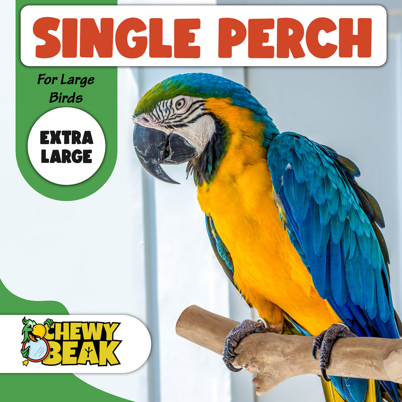 Parrot Perches Bird Cage perch java wood parrot stand for parrots Dubai bird accessories