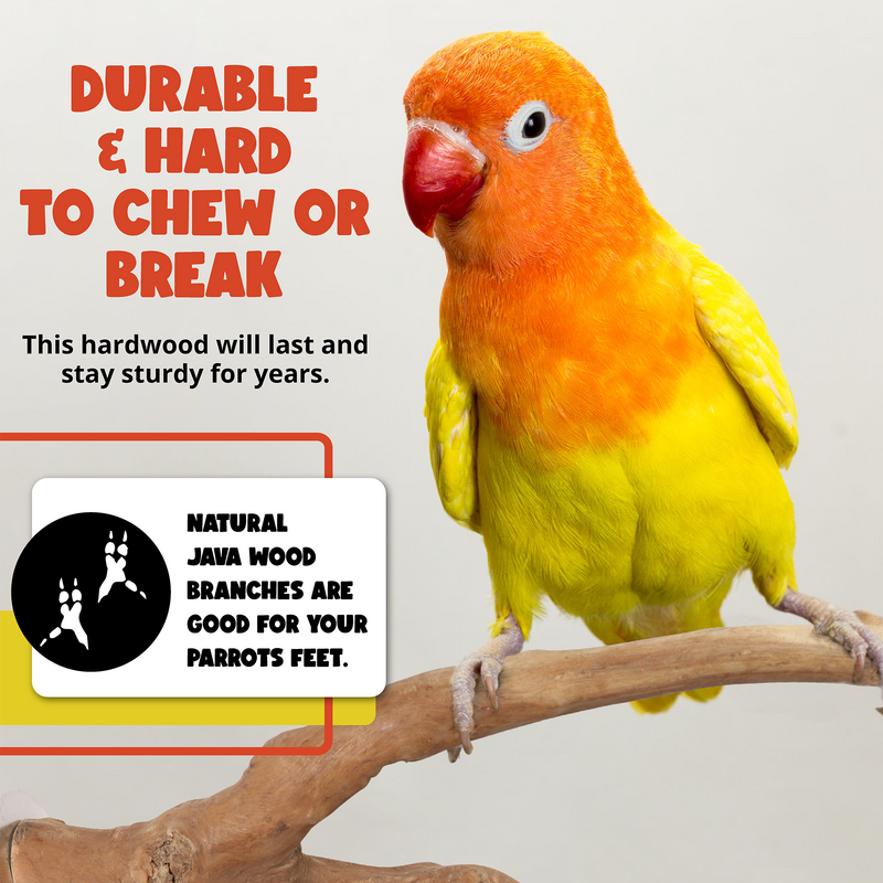 Parrot Perches Bird Cage perch java wood parrot stand for parrots Dubai bird accessories