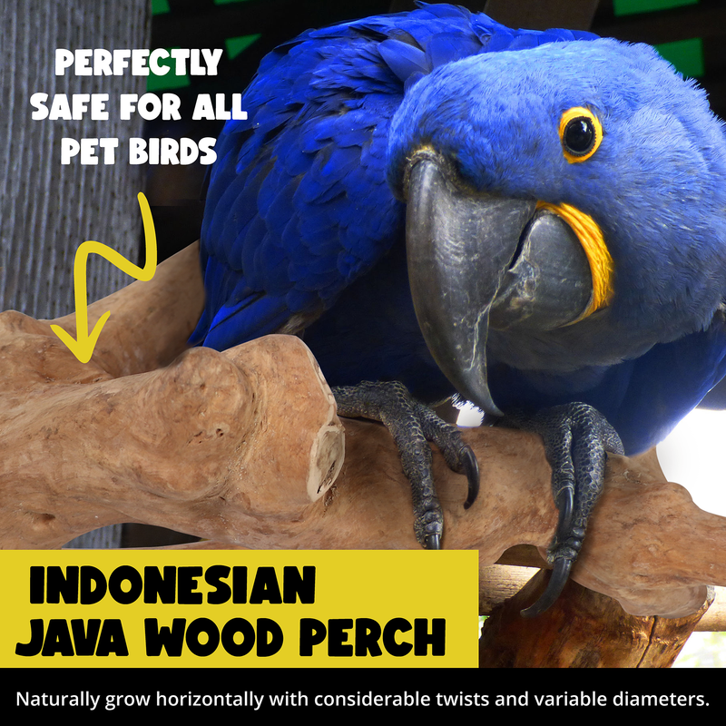 Parrot Perches Bird Cage perch java wood parrot stand for parrots Dubai bird accessories