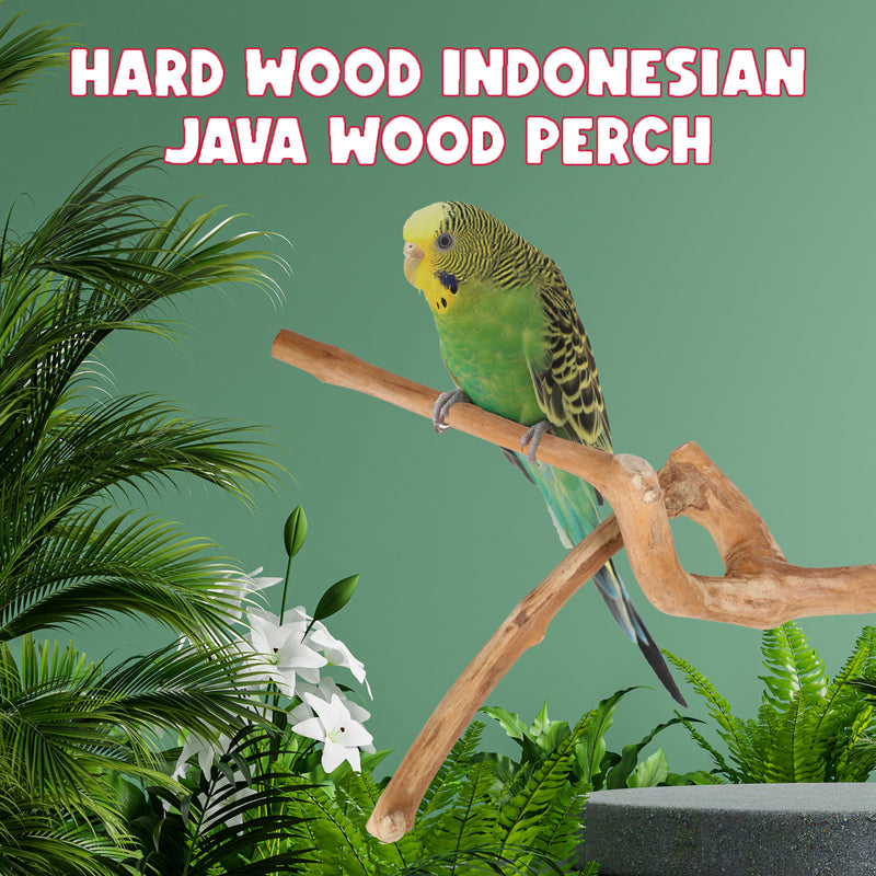 Parrot Perches Bird Cage perch java wood parrot stand for parrots Dubai bird accessories