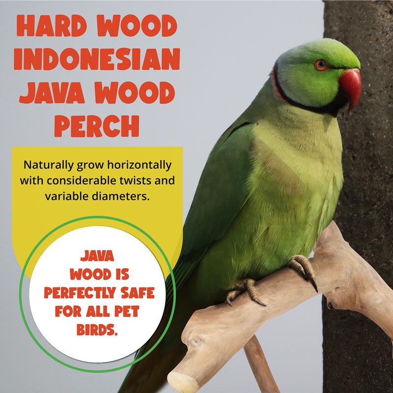 Parrot Perches Bird Cage perch java wood parrot stand for parrots Dubai bird accessories